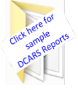 DCARSRptSamples